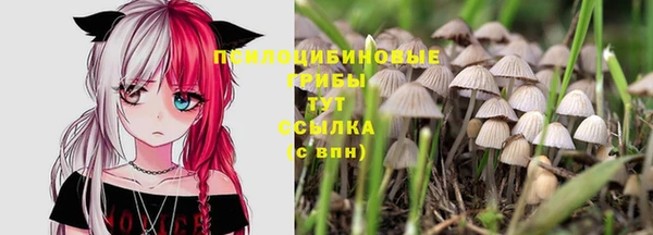 первитин Нея
