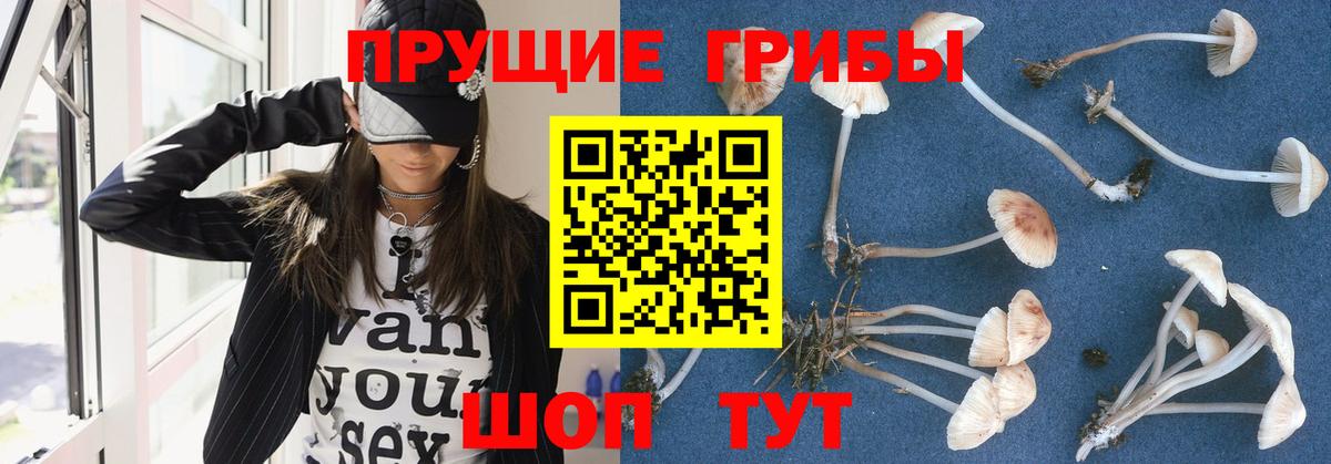 Псилоцибиновые грибы мицелий  Вход с VPN  Кострома 