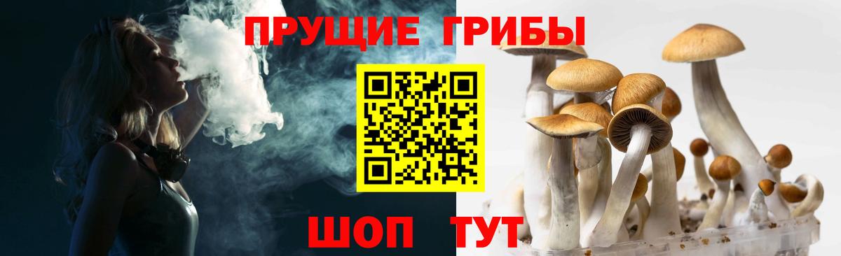 Галлюциногенные грибы мицелий Кострома