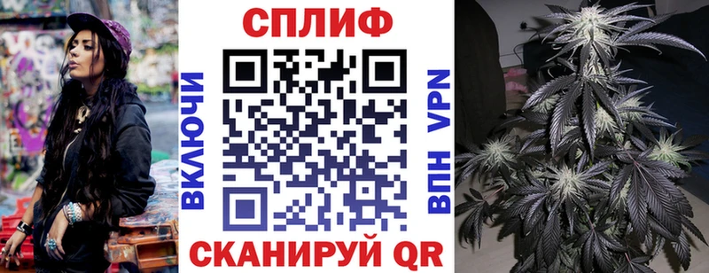 Шишки марихуана сатива  Кострома 