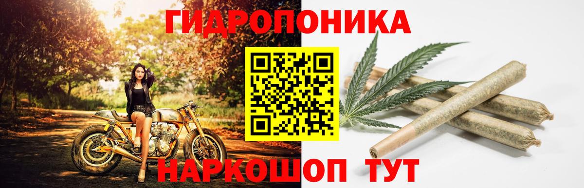 Конопля Amnesia Кострома